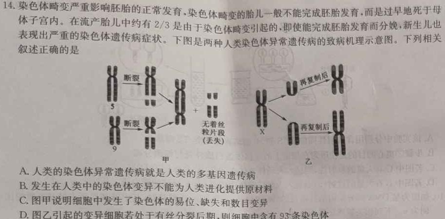 2024年河南省普通高中毕业班高考适应性练习(3月)生物