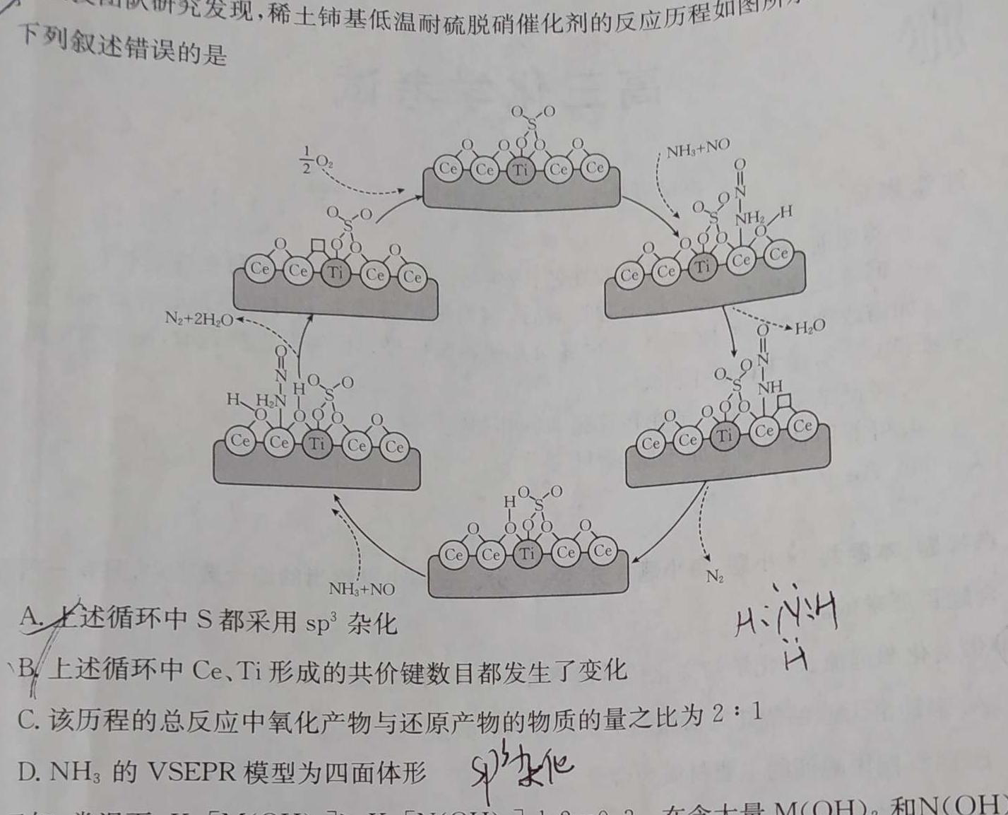 1［河北大联考］河北省2024届高三12月联考化学试卷答案