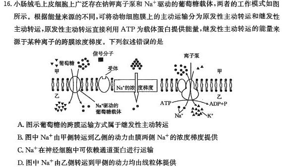 炎德英才大联考长沙一中2024届高三月考试卷（六）生物学