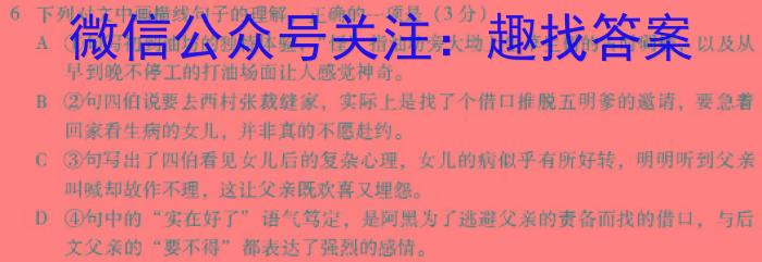 海南省2023-2024学年高二年级学业水平诊断（一）（期末考试）语文