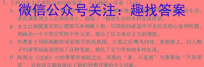 河北省2024届高三年级大数据应用调研联合测评(Ⅴ)语文