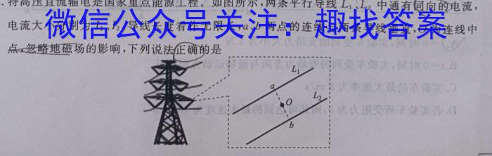 天一大联考2024届高考全真模拟卷(新高考)(湖南专版)(一)物理试卷答案