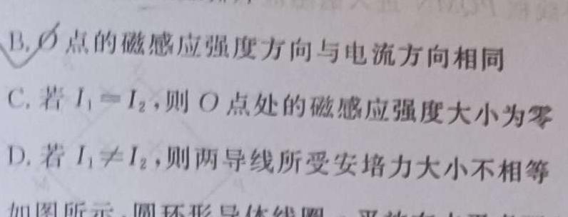 [今日更新]高考研究831重点课题项目 陕西省联盟学校2024年联考(4月).物理试卷答案