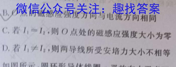 2024届智慧上进 名校学术联盟 高考模拟信息卷押题卷GS(十一)h物理