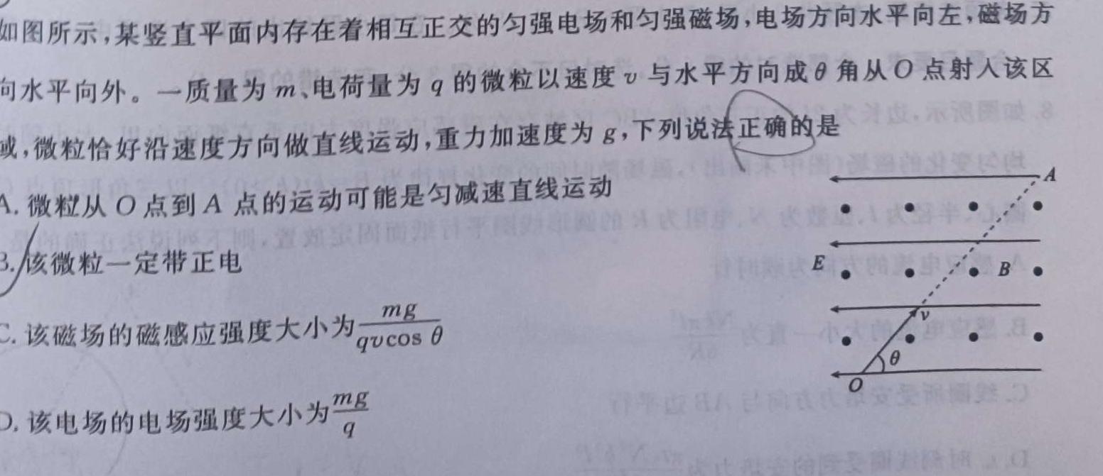 [今日更新]2024年春季鄂东南省级示范高中教育教学改革联盟学校高三期中联考.物理试卷答案