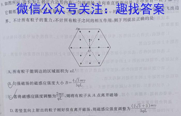 湖北省武汉市部分重点中学2023-2024学年度下学期期中联考高二h物理