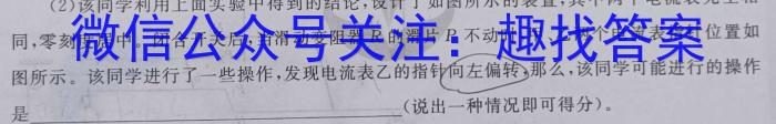 2024届湖南省普通高中学业水平合格性考试测试模拟卷(二)2h物理