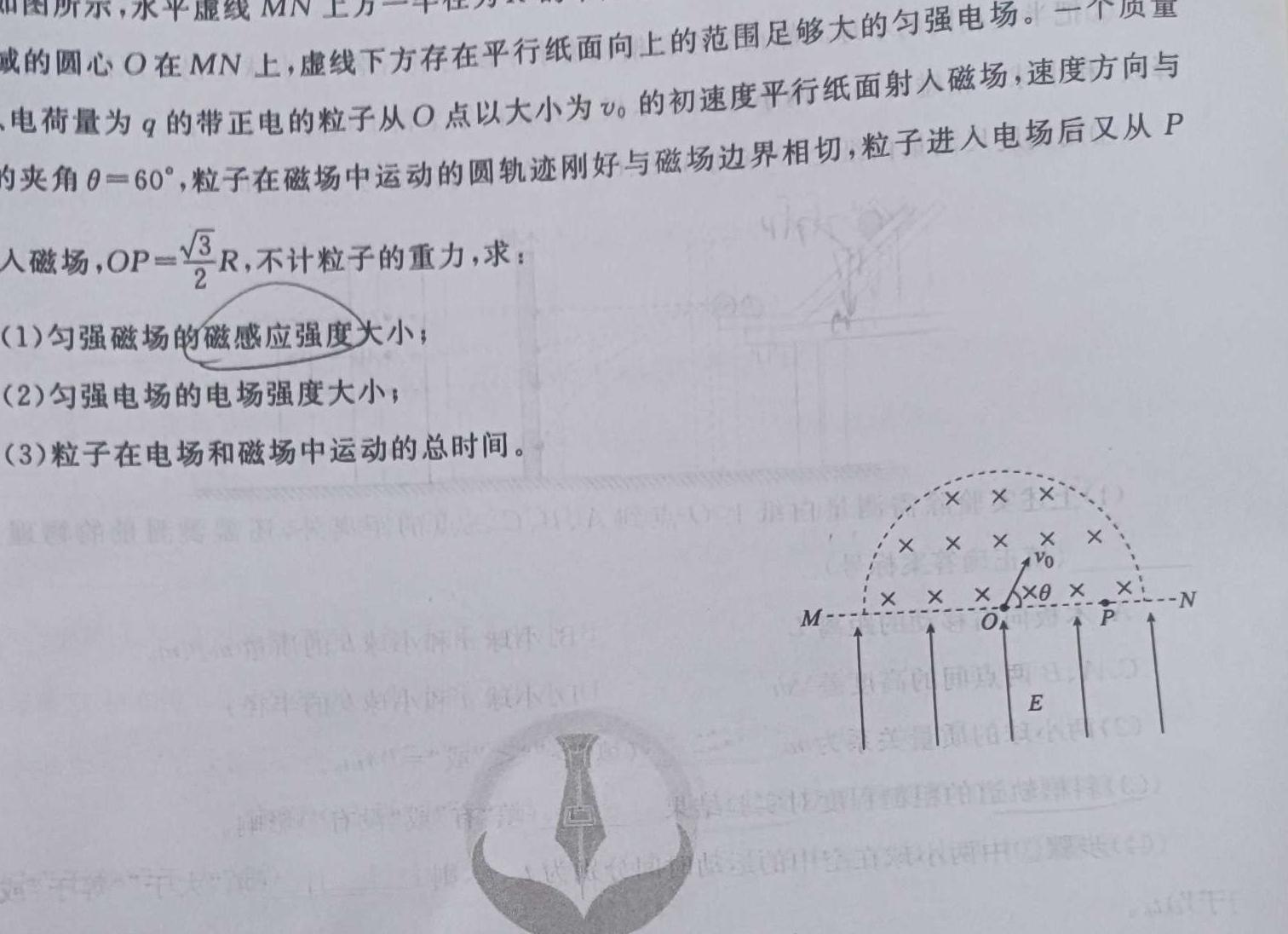 内蒙古巴彦卓尔市2023-2024学年度下学期高一期末考试(24-612A)(物理)试卷答案