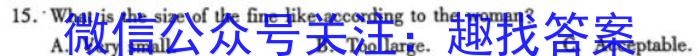 安徽省2024年中考密卷先享模拟卷(二)英语