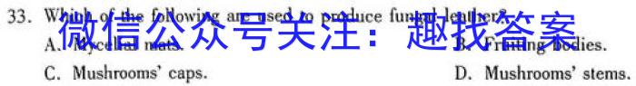 四川省成都市蓉城高中联盟2026届高一上学期期末考试英语