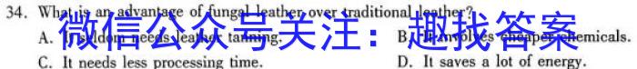 NT教育·2023-2024学年第二学期5月高二阶段测试卷英语试卷答案