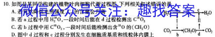 四川省2023-2024学年度上期高二年级高中2022级期末联考生物学试题答案