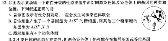 陕西省2023~2024学年度九年级第一学期阶段测试(二)生物学部分