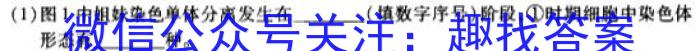 2024届辽宁市高二3月联考(24-359B)生物学试题答案