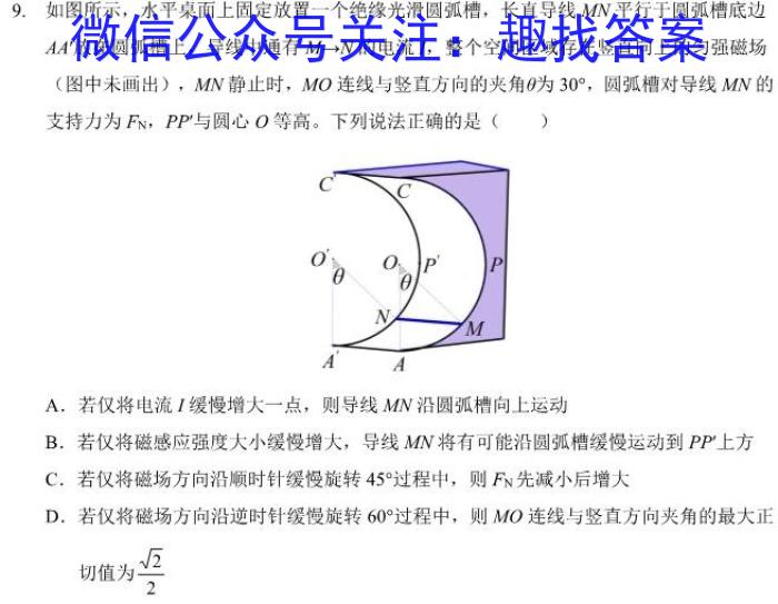 河南省2023-2024学年度下学期九年级培优监测试题l物理