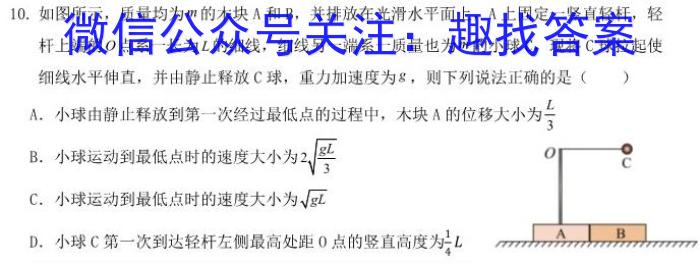 文博志鸿 2024年河北省初中毕业生升学文化课模拟考试(预测二)物理`