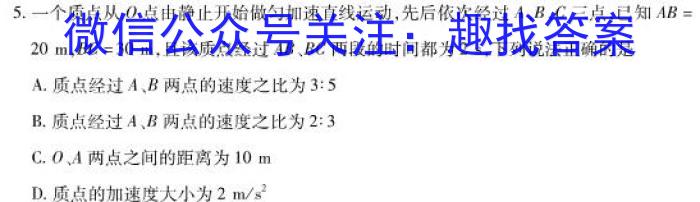 河北省衡水中学2024-2025学年度高二年级上学期第一学期综合素养测评物理试卷答案