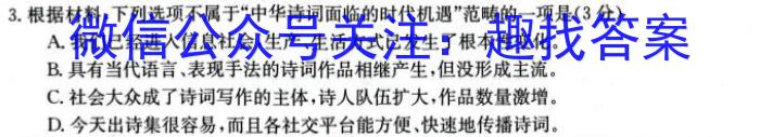 山西省朔州市某校23-24第一学期三阶段检测九年级试题（卷）/语文