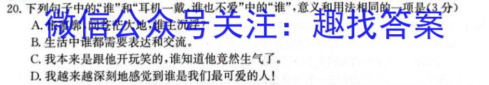 安徽省十联考 合肥一中2024届高三上学期期末质量检测卷语文