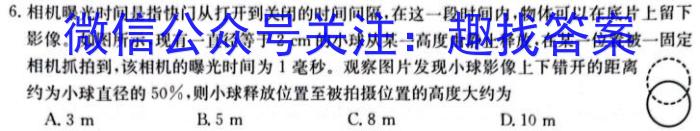 河北省2024届高三年级大数据应用调研联合测评(Ⅲ)物理`