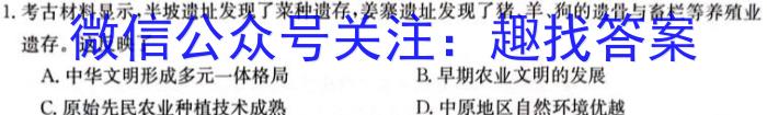 陕西省商洛市2024届高三第一次模拟检测历史