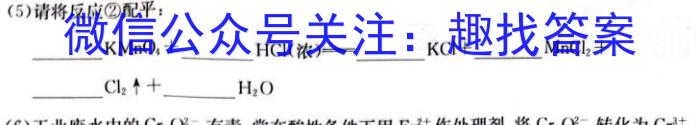 32024届高三年级T8联盟12月份八省联考化学试题