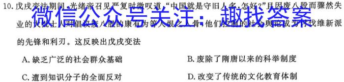 江西省临川二中2024年上学期九年级质量检测政治1