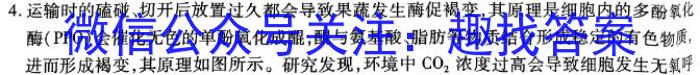 扎鲁特一中/银川四模2023-2024学年度高三第二学期第四次模拟考试生物学试题答案