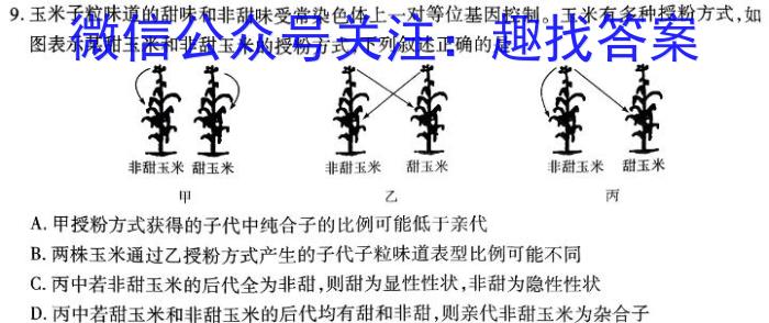 2024届衡水金卷先享题调研卷(贵州专版)三生物学试题答案