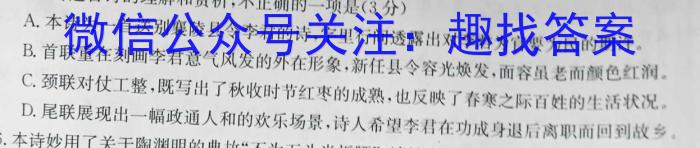 山东省菏泽市2024-2025学年度第一学期高三期末考试语文