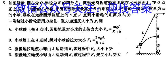  明思教育2024年河北省初中毕业生升学文化课模拟考试（密卷二）物理试题答案