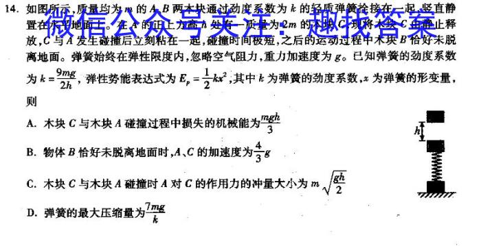 广东省2023-2024学年度高二第一学期期末教学质量检测(24-303B)物理试卷答案