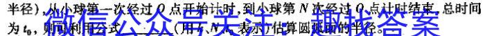 安徽省枞阳县2023-2024学年度高一上学期期末考试物理试题答案