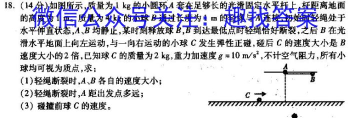 九师联盟 2024届高三3月质量检测巩固卷物理试卷答案