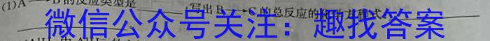 3天一大联考 湖南省2024届高三12月联考化学试题