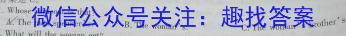 安徽省2024届九年级结课评估[5LR]英语试卷答案