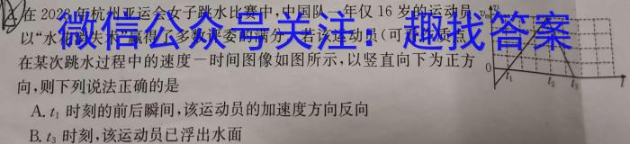 天宏大联考2024年河南省中招第一次模拟考试试卷物理试卷答案