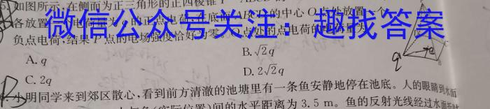 2024年安徽省中考信息押题卷（二）物理试卷答案