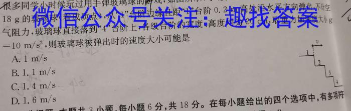 陕西省2023-2024学年度第一学期九年级期末教学检测（A）物理试卷答案