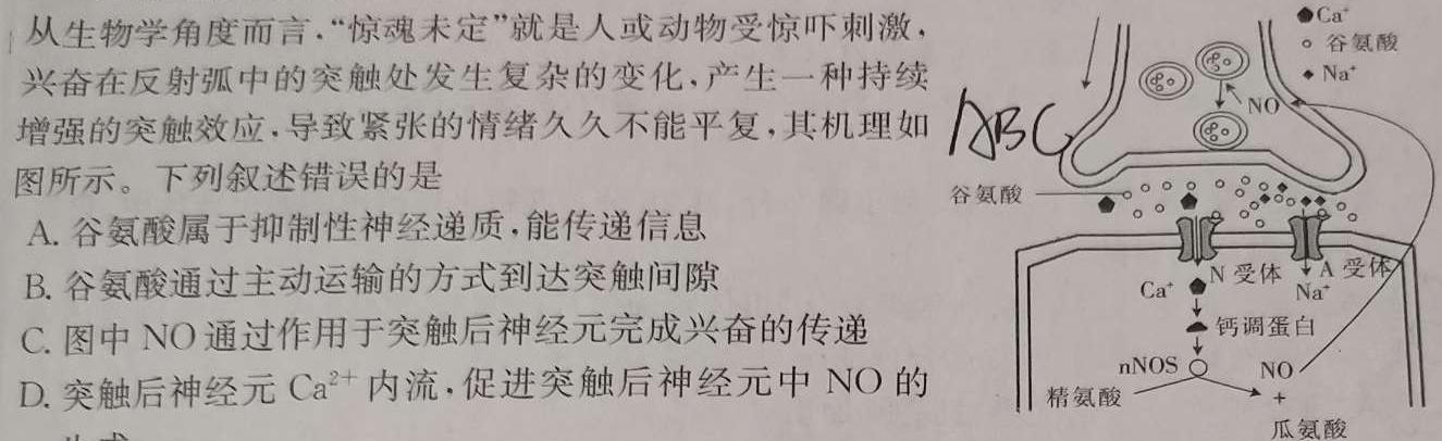 2024届衡水金卷先享题 调研卷(安徽专版)一生物学部分