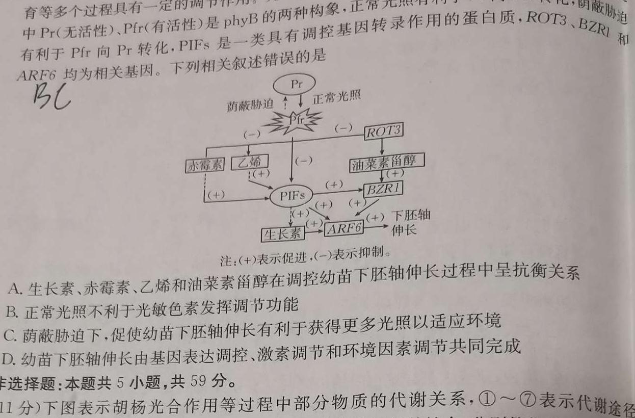 文博志鸿2024年河南省普通高中招生考试模拟试卷（经典一）生物学部分