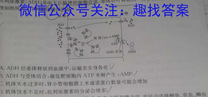 广西2024年春季学期高一校联体第一次联考生物学试题答案