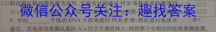 安徽省2023-2024第二学期九年级教学质量检测（三）生物学试题答案