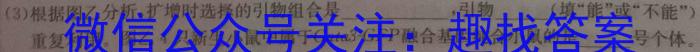 河南省2024年春期六校第二次联考（高一年级）生物学试题答案