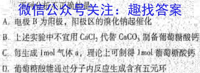 3百师联盟2024届高三一轮复习联考(四)新教材化学试题