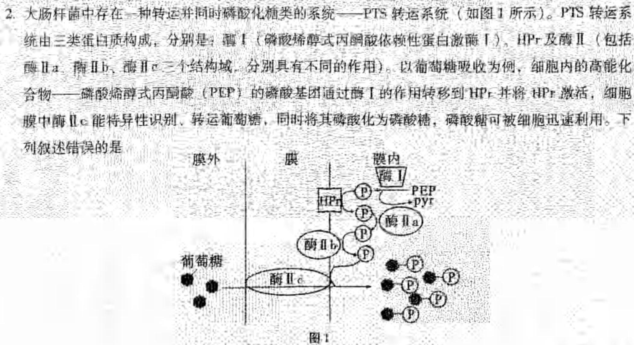 百校联考 2024年广东中考适应性考试生物学部分