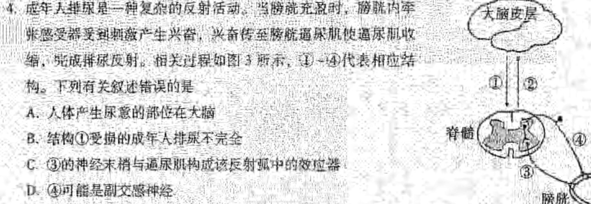 云南省昆明市第一中学2025届高三年级第一次联考生物学部分