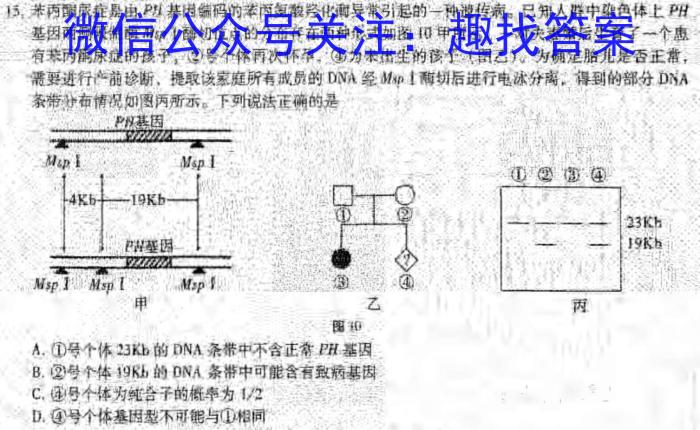 衡水金卷先享题·月考卷 2023-2024学年度上学期高三年级期末考试(HB)生物学试题答案