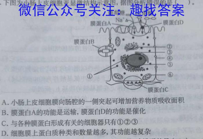 百师联盟2025届高三开学摸底联考(山东)生物学试题答案