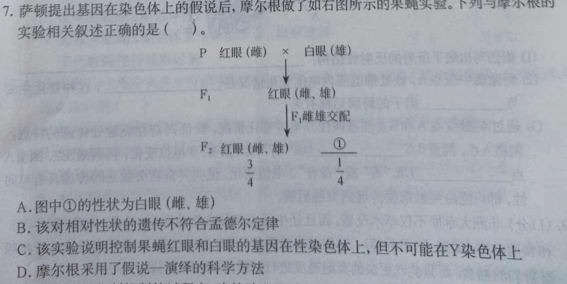 2024届普通高等学校招生全国统一考试 高三青桐鸣信息卷二生物学部分